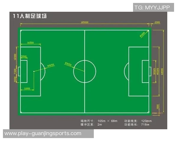 探索11人足球场的魅力与战术布局带你领略足球竞技的精彩瞬间与团队协作的力量